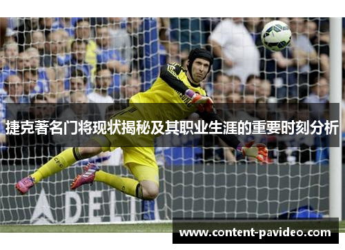 捷克著名门将现状揭秘及其职业生涯的重要时刻分析
