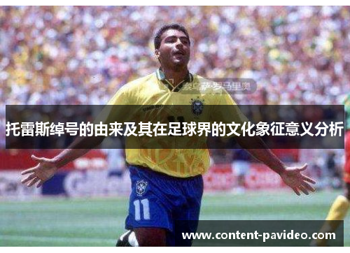 托雷斯绰号的由来及其在足球界的文化象征意义分析