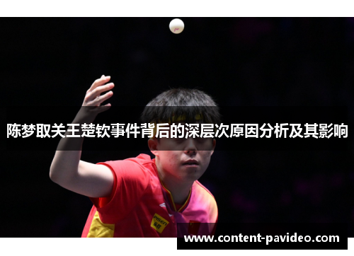 陈梦取关王楚钦事件背后的深层次原因分析及其影响
