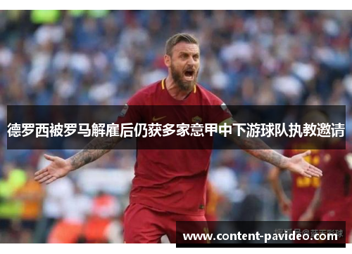 德罗西被罗马解雇后仍获多家意甲中下游球队执教邀请