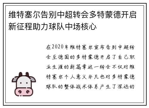 维特塞尔告别中超转会多特蒙德开启新征程助力球队中场核心